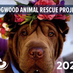 Dogwood Animal Rescue 2024 Calendar