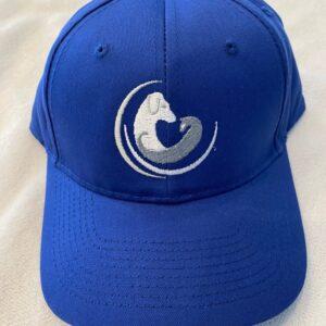 Dogwood Blue Baseball Hat